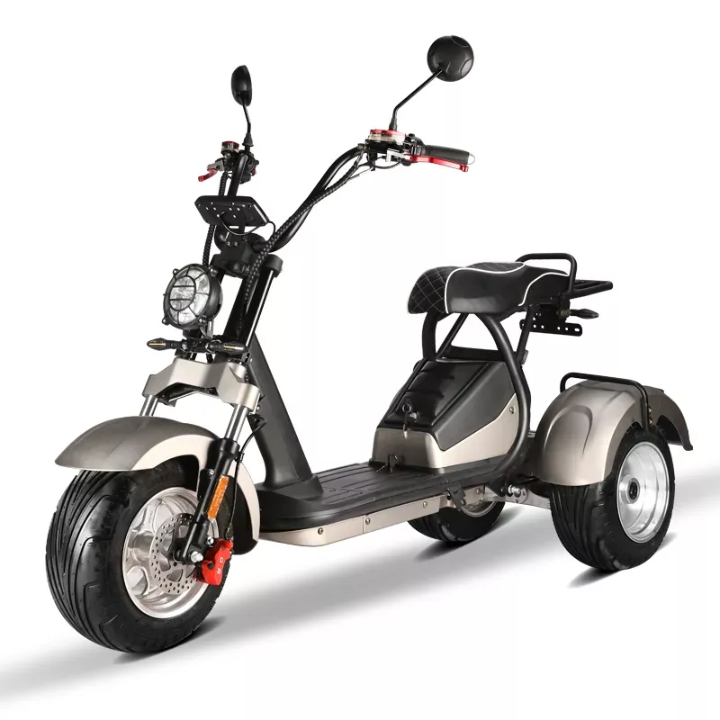 Elektrická tříkolka Zubr 4000 w naklápěcí, vyndavací baterie 40 Ah dojezd 100 km.